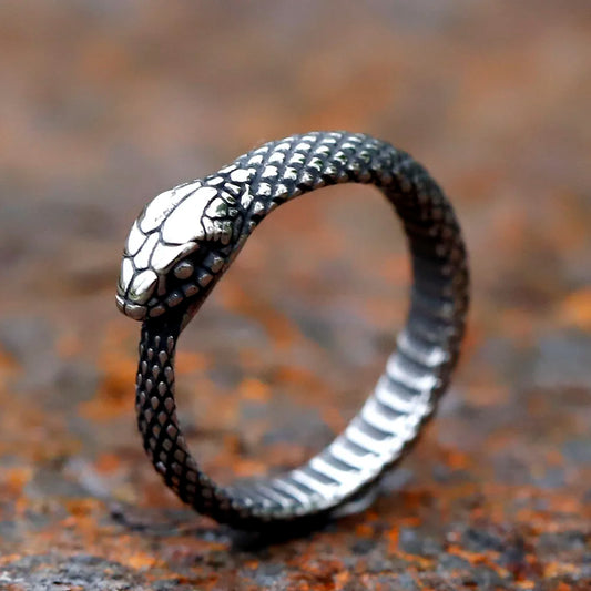 Ouroboros Serpent Stainless Steel Ring
